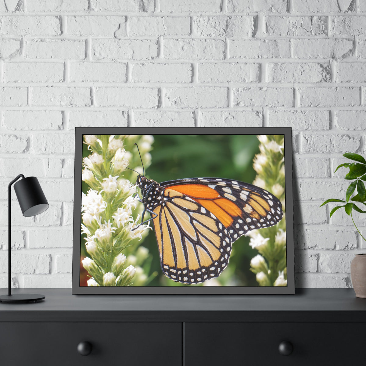 Monarch Butterfly in Garden Framed Print | Nature Photography
