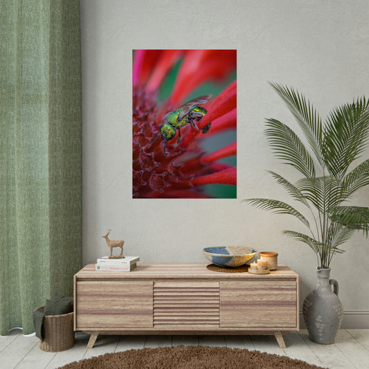 Beautiful Green Bee Fine Art Print