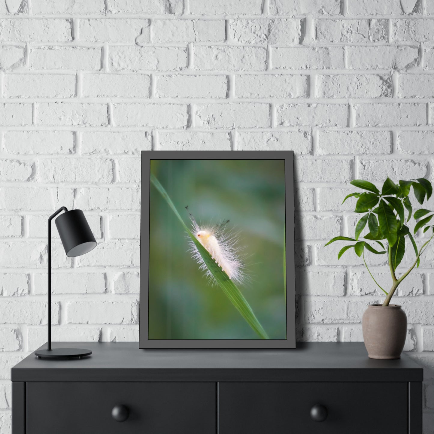 Fuzzy Feets Caterpillar Framed Print | Nature Photography