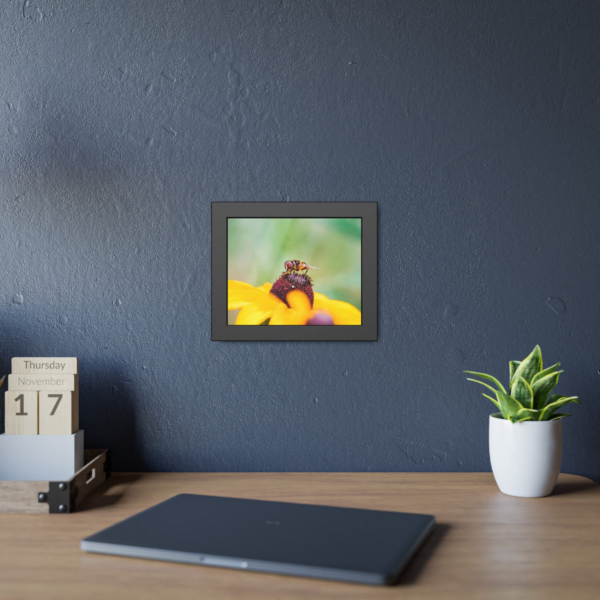 Flower Fly on Black-Eyed Susan Framed Print | Nature Photography