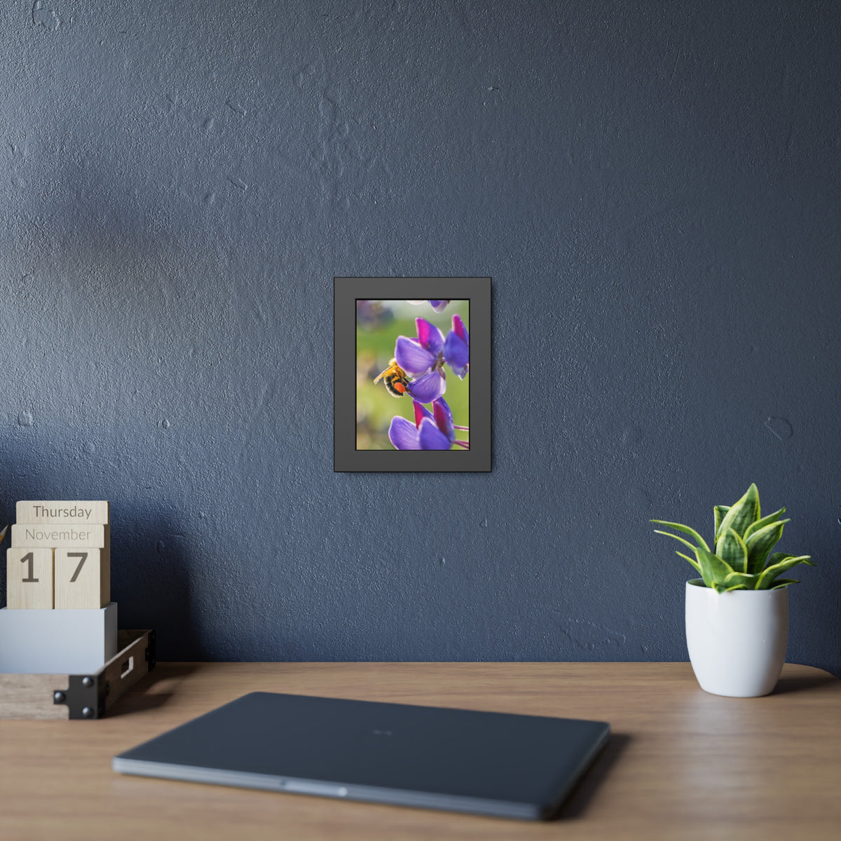 Bumble Bee Pollinates Lupine Flowers Framed Print | Nature Photography