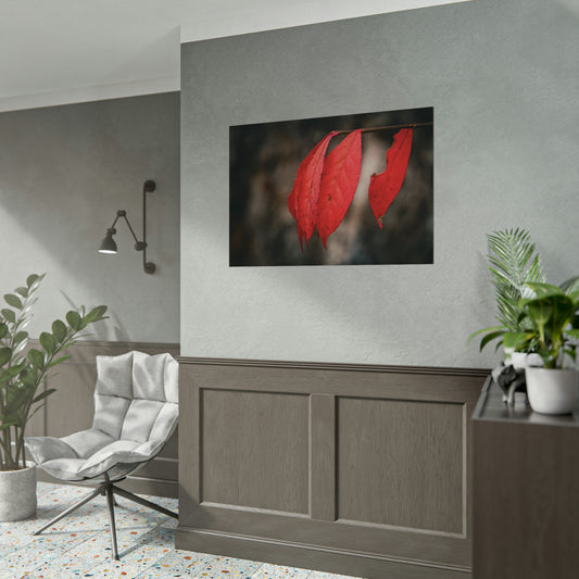 Leaves of Red Fine Art Print