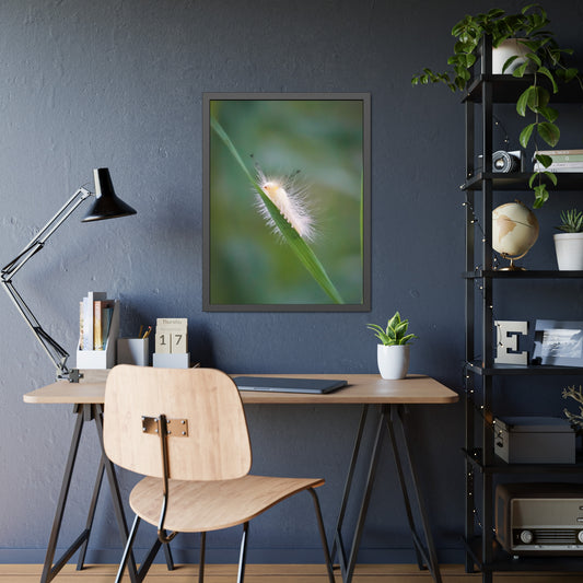Fuzzy Feets Caterpillar Framed Print | Nature Photography