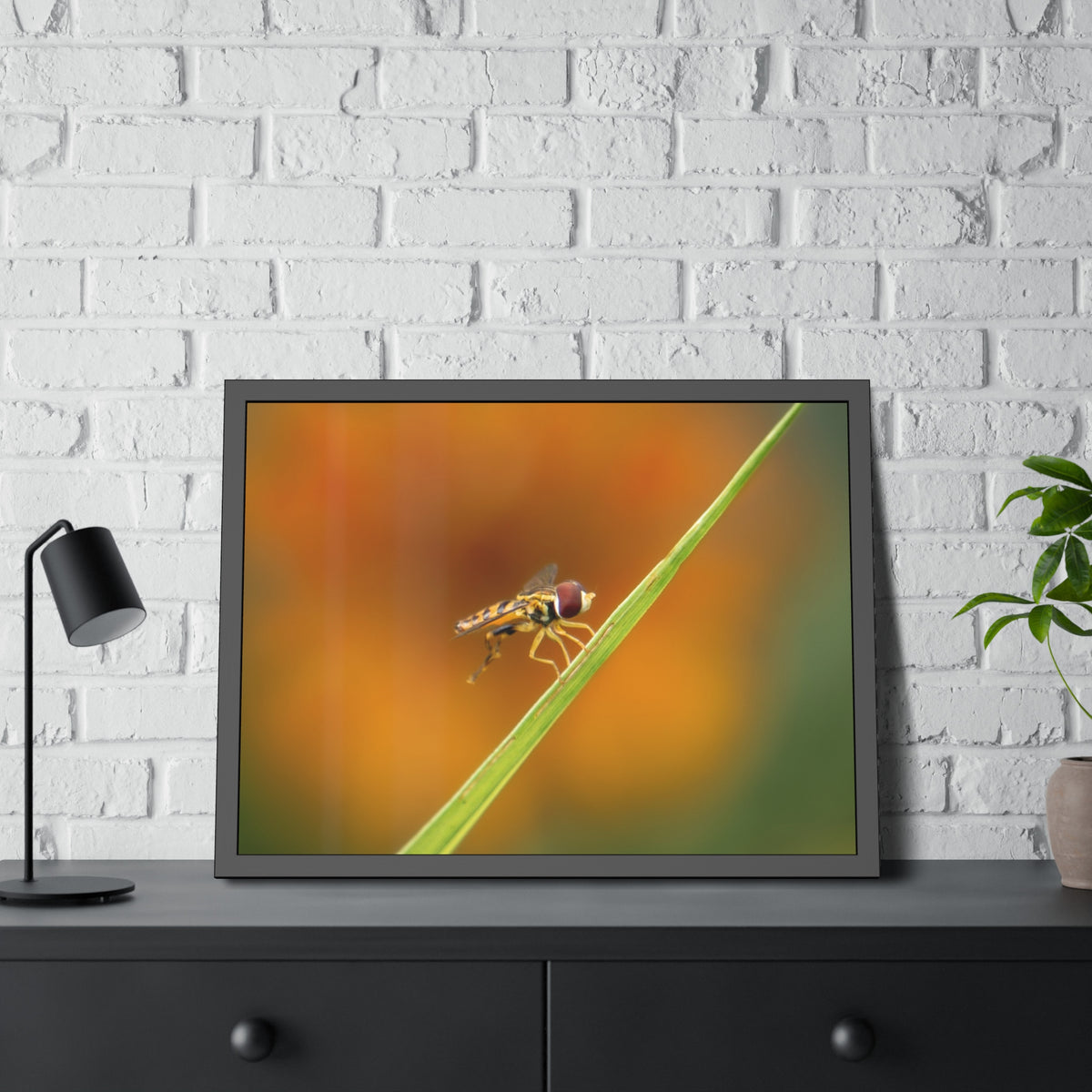 Flower Fly Super Macro Framed Print | Nature Photography