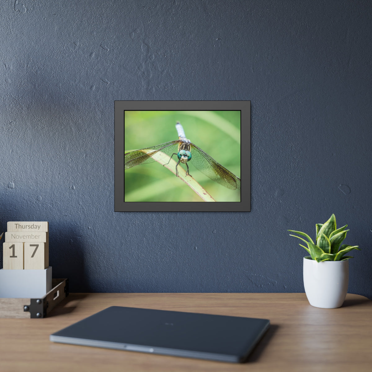 Macro Dragonfly Eyes Framed Print | Nature Photography