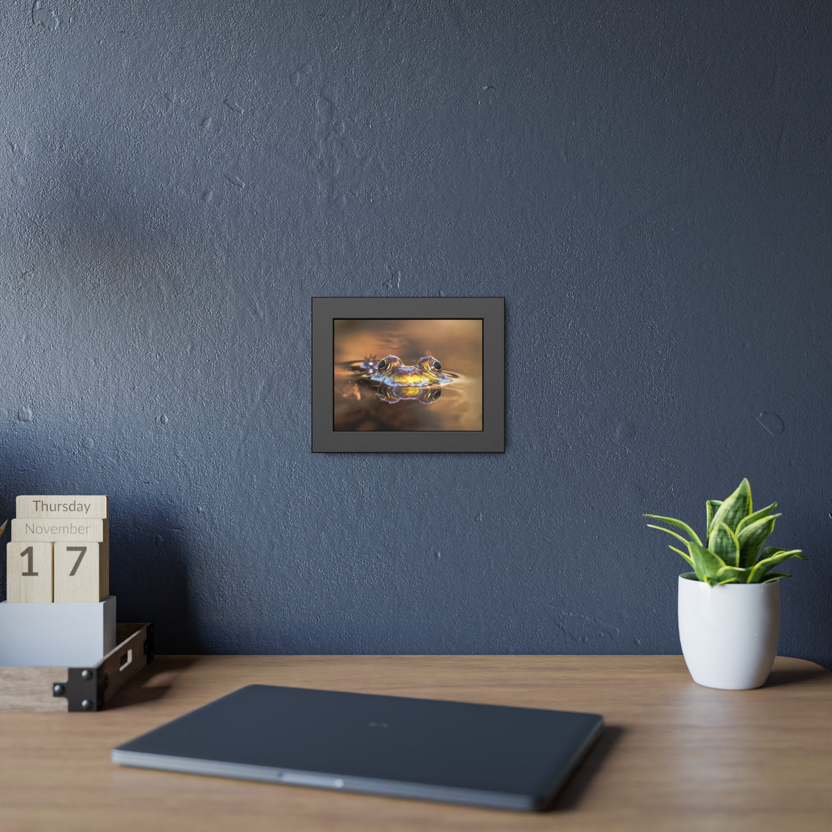 Duality of Frog Framed Print | Nature Photography