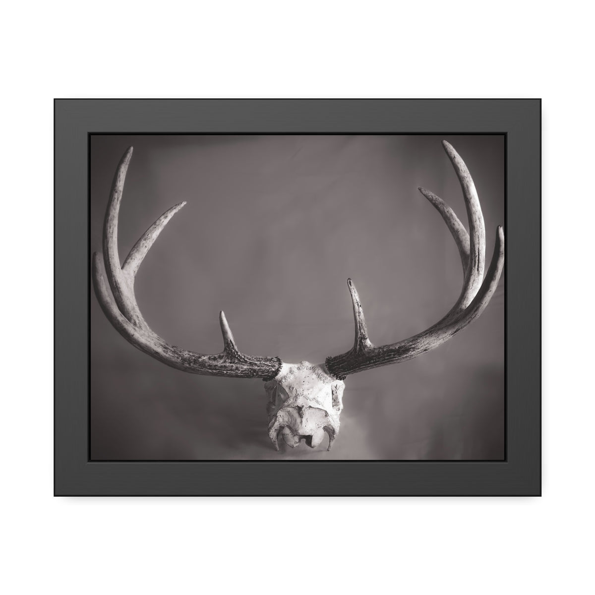 Ghosts of Deers Past Framed Print | Nature Photography