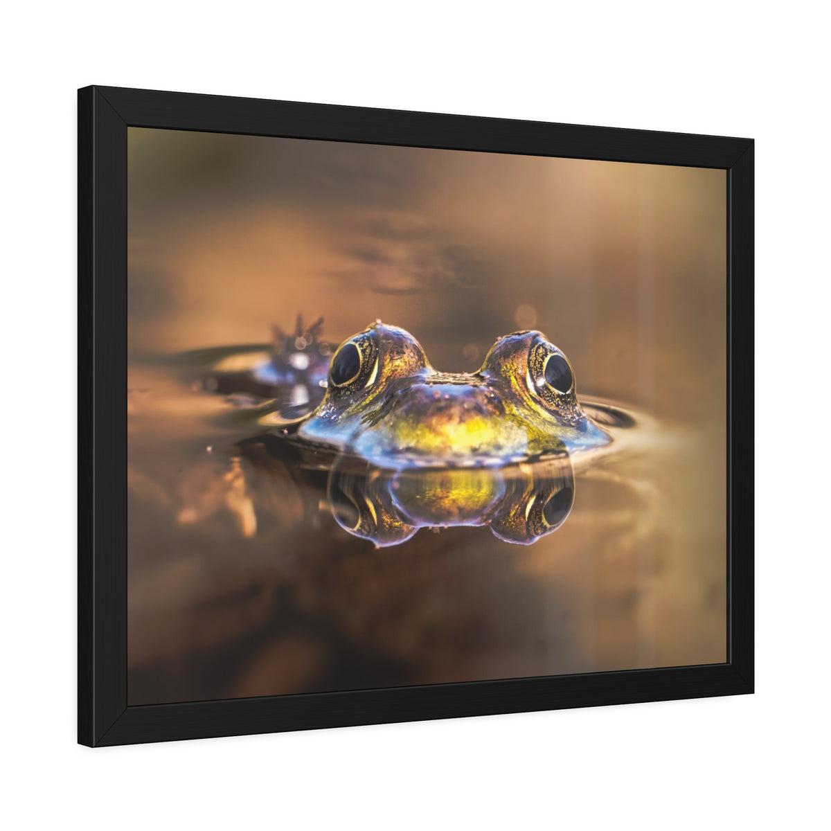 Duality of Frog Framed Print | Nature Photography
