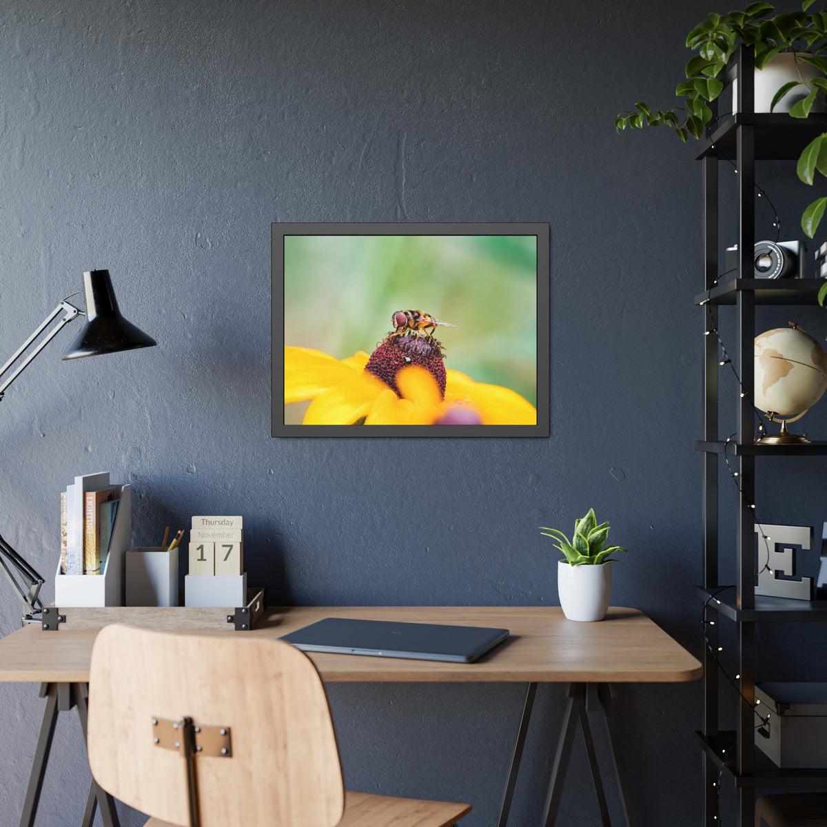 Flower Fly on Black-Eyed Susan Framed Print | Nature Photography