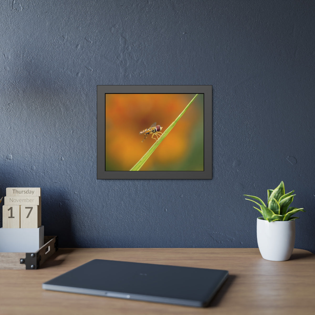 Flower Fly Super Macro Framed Print | Nature Photography