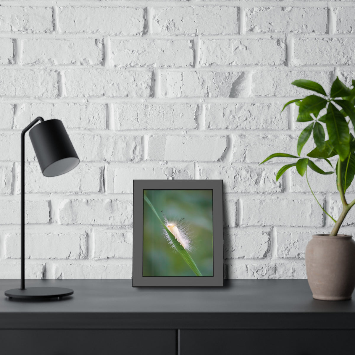 Fuzzy Feets Caterpillar Framed Print | Nature Photography