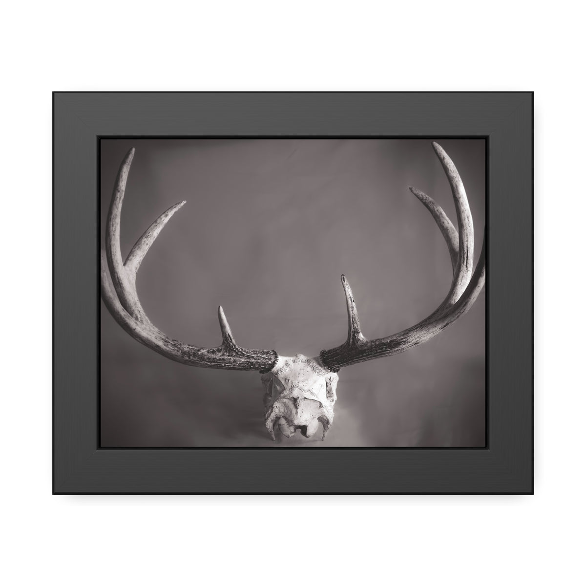 Ghosts of Deers Past Framed Print | Nature Photography