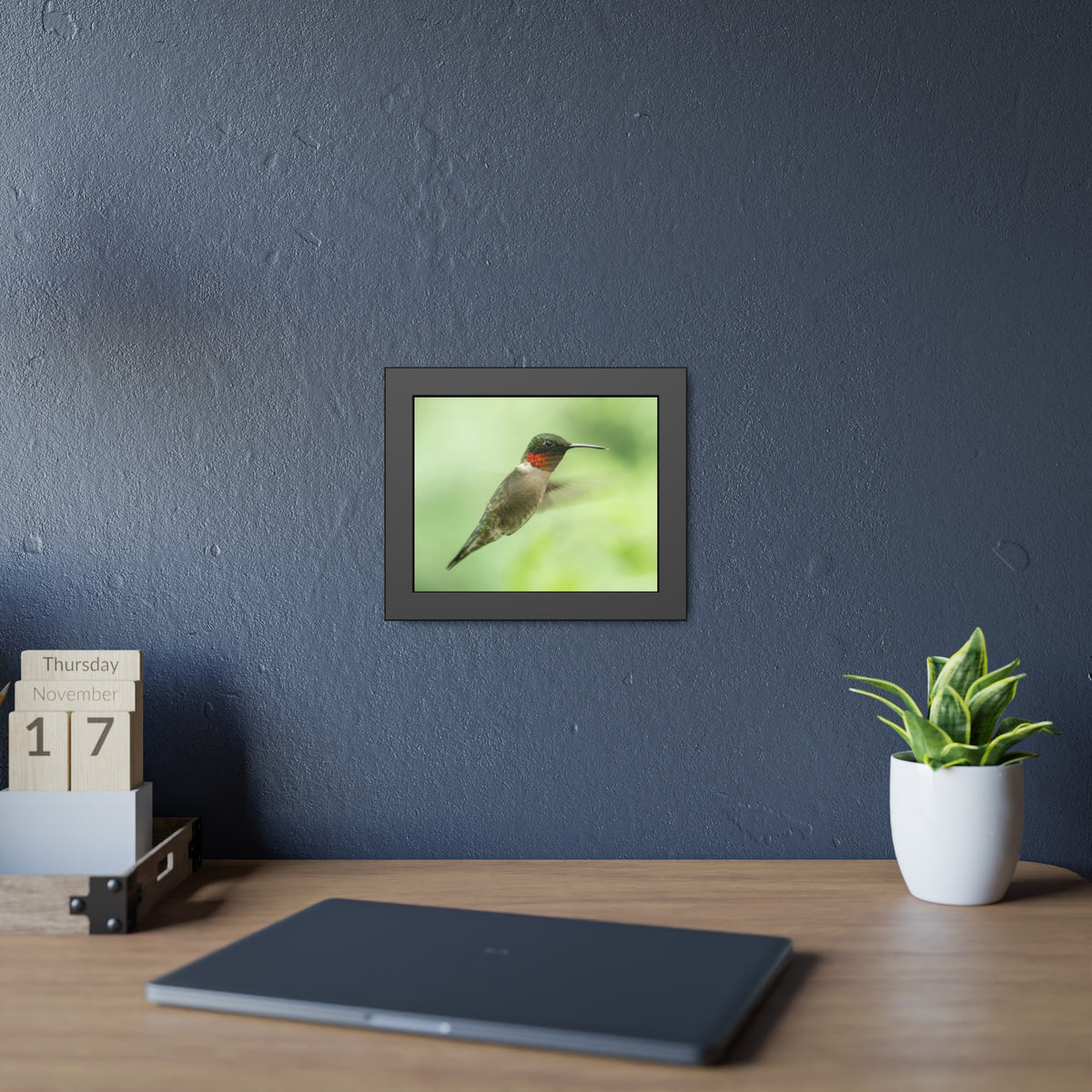Hummingbird In-Flight Framed Print | Nature Photography