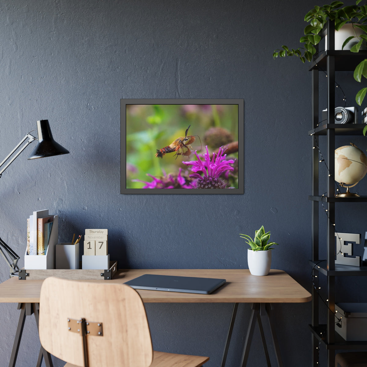 Hummingbird Moth In Flight Framed Print | Nature Photography