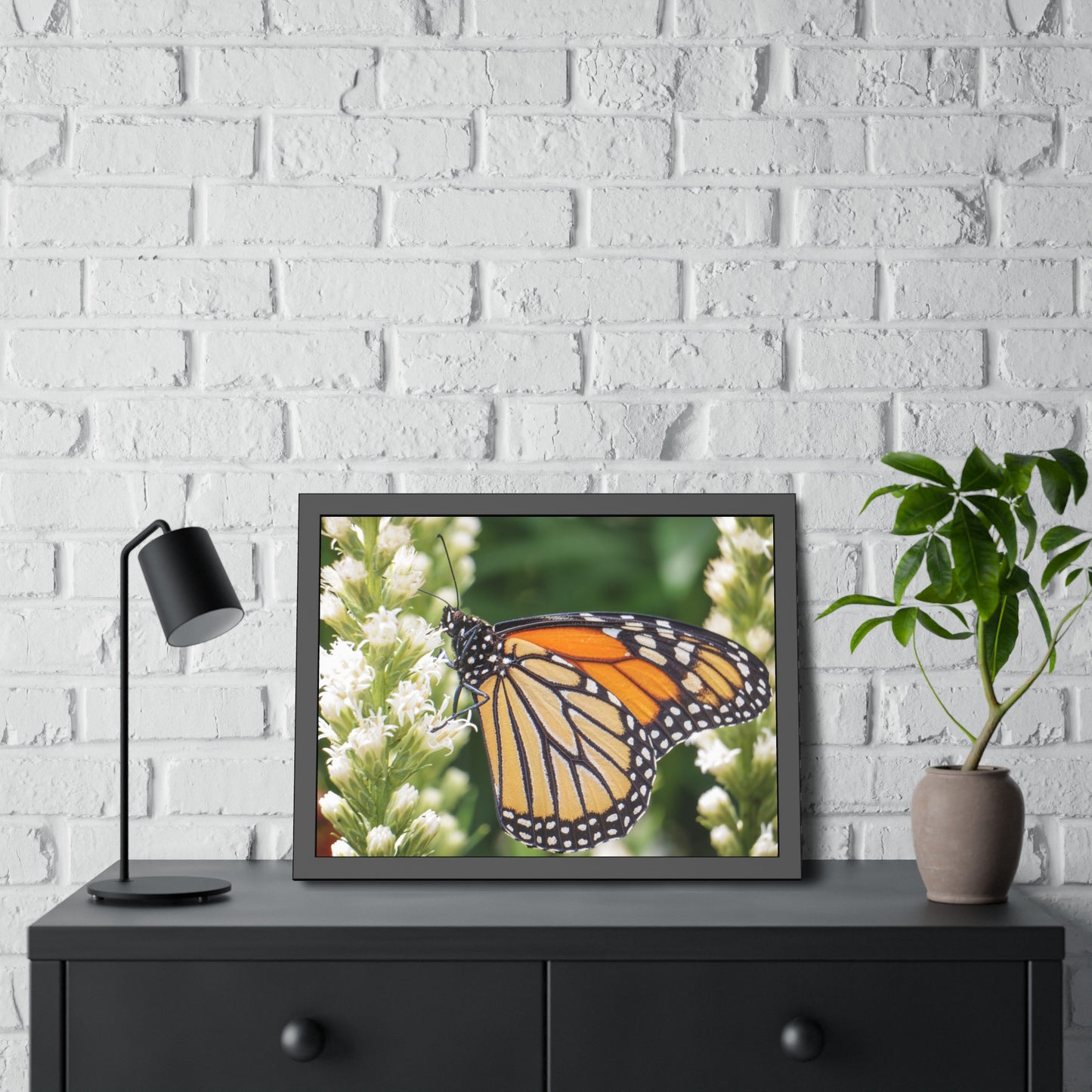 Monarch Butterfly in Garden Framed Print | Nature Photography