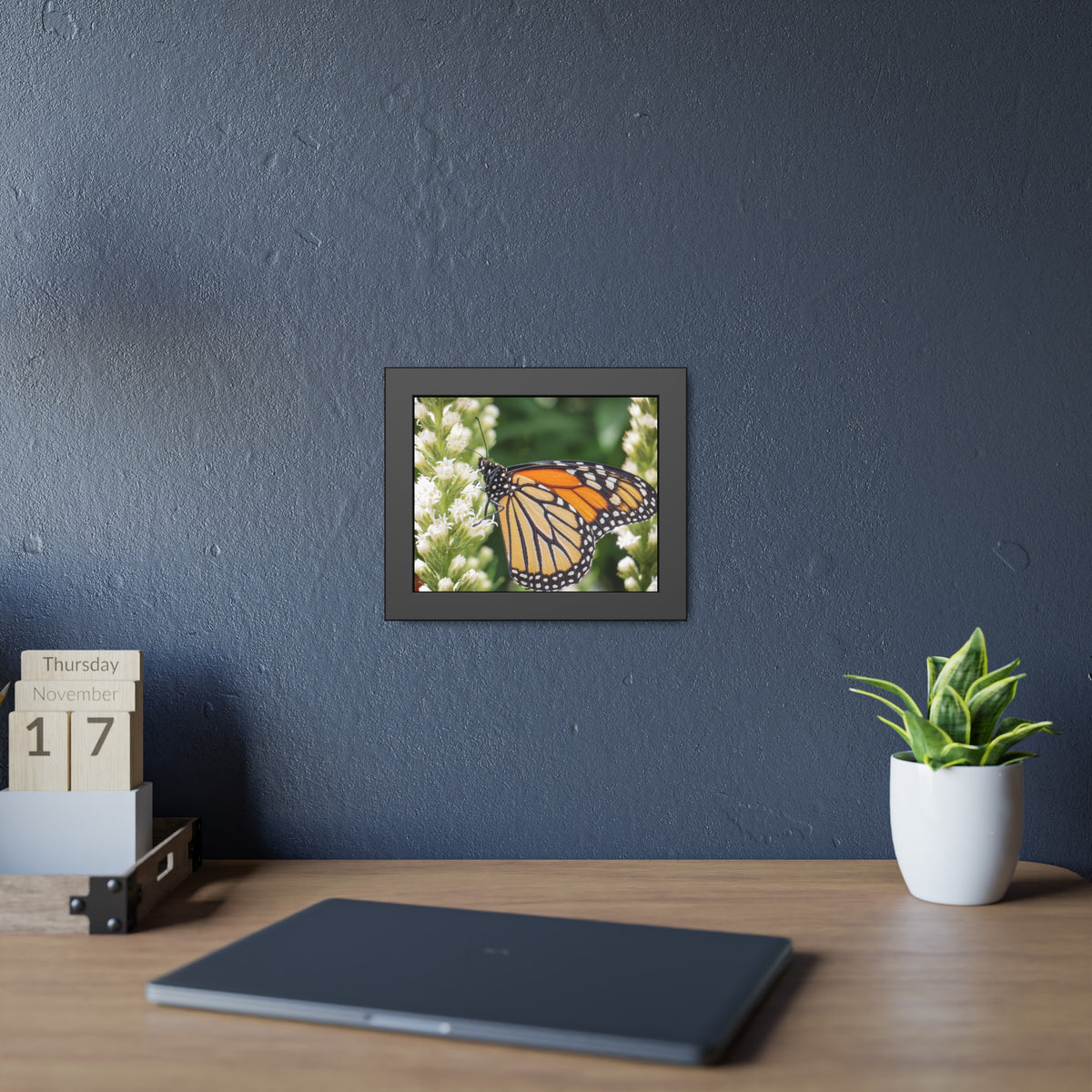 Monarch Butterfly in Garden Framed Print | Nature Photography