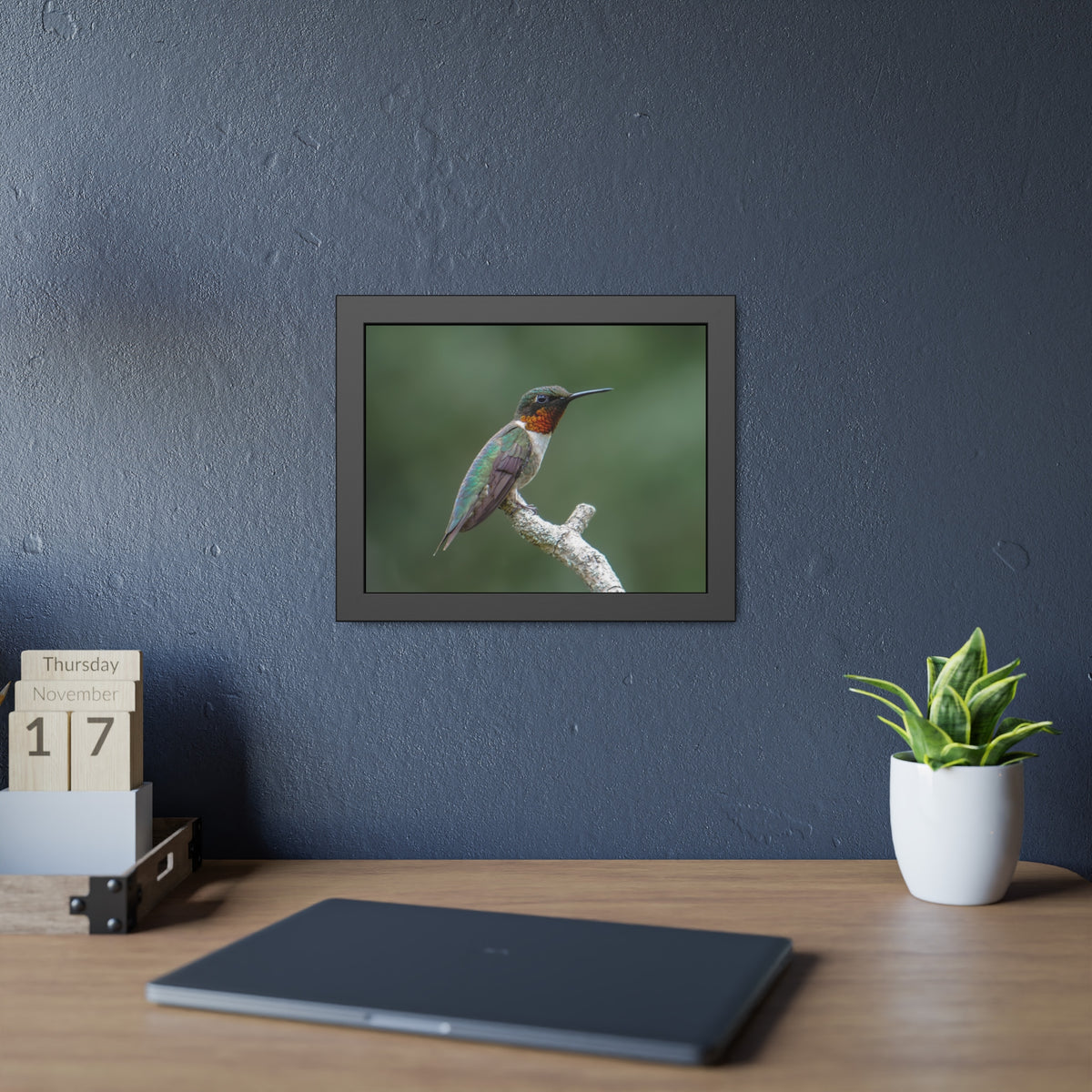 Ruby-Throated Hummingbird Framed Print | Nature Photography