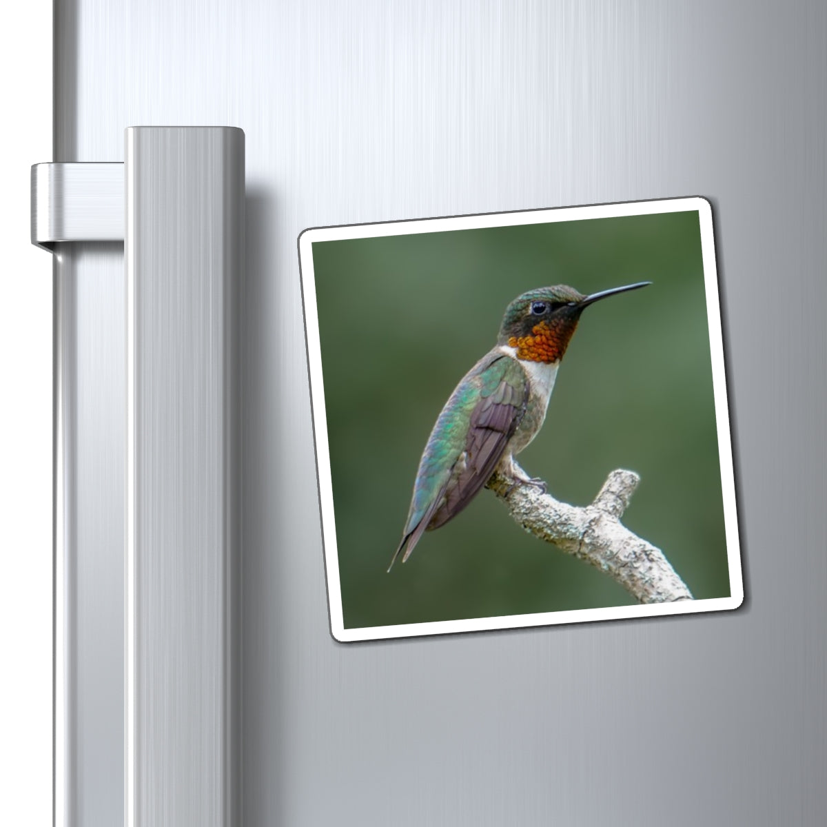 Ruby-Throated Hummingbird Magnet