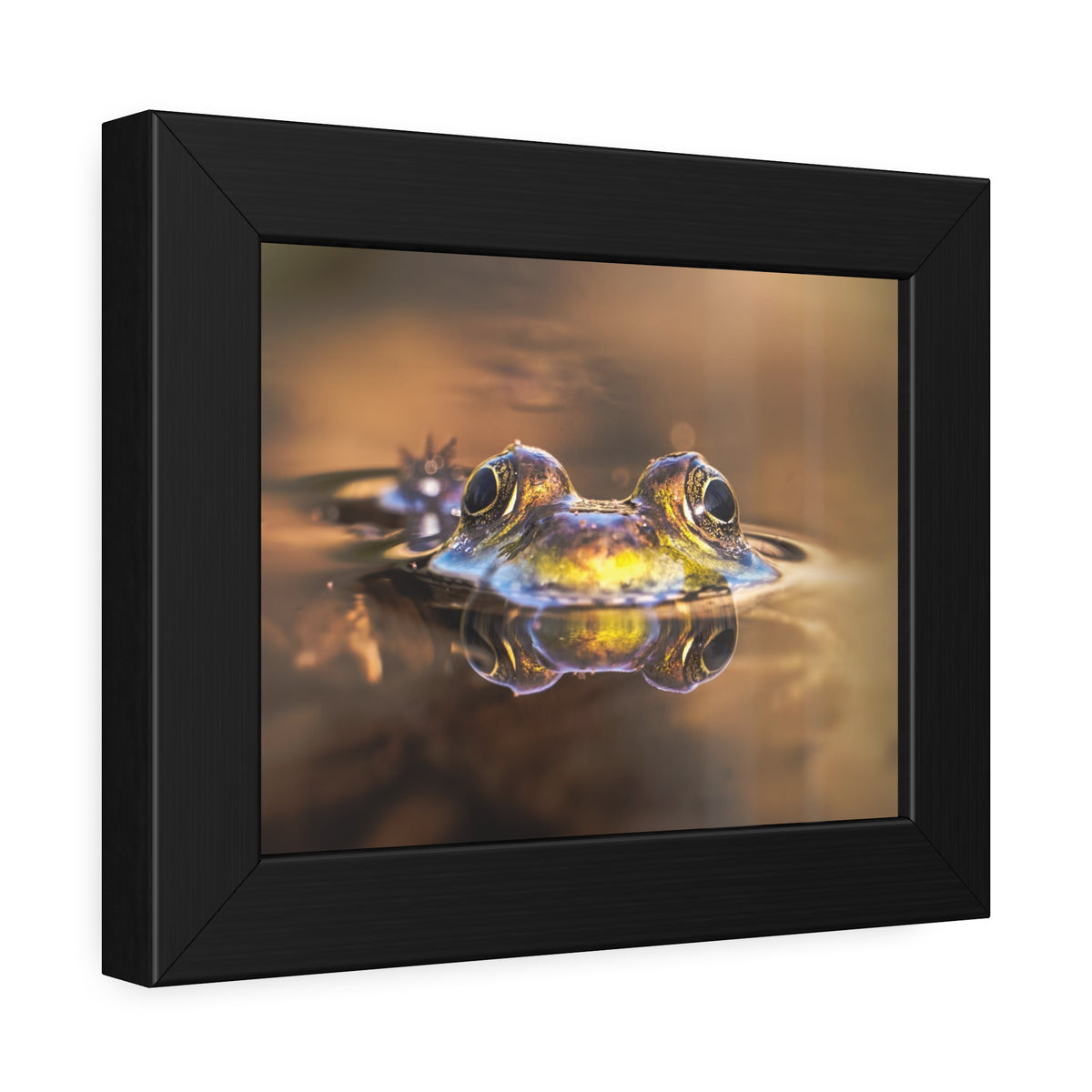 Duality of Frog Framed Print | Nature Photography