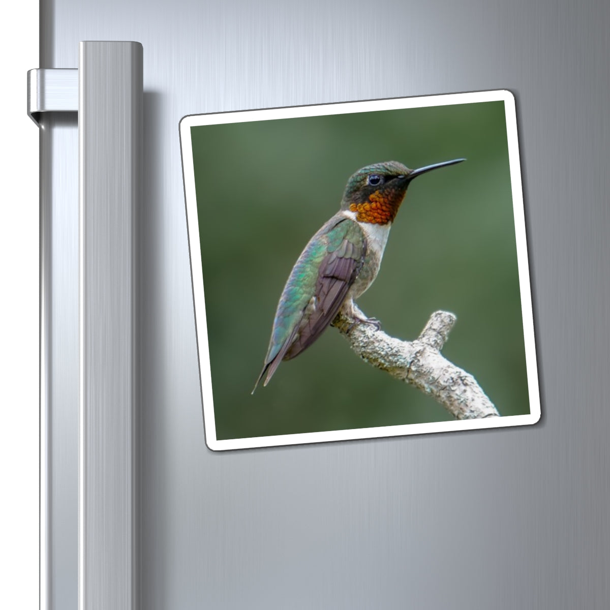 Ruby-Throated Hummingbird Magnet