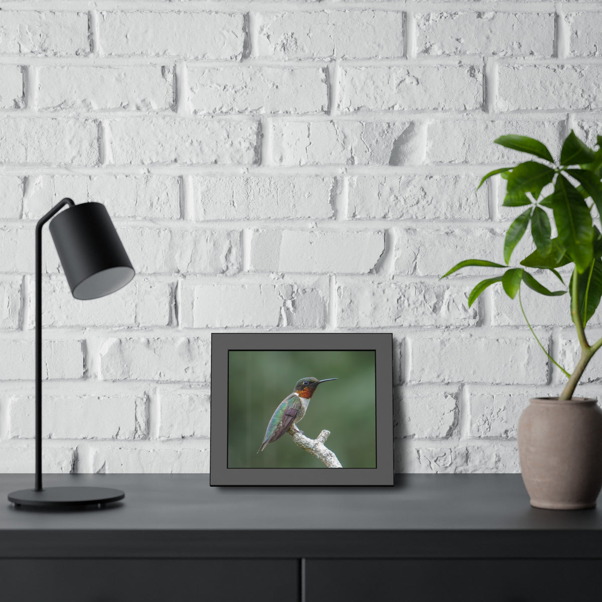 Ruby-Throated Hummingbird Framed Print | Nature Photography