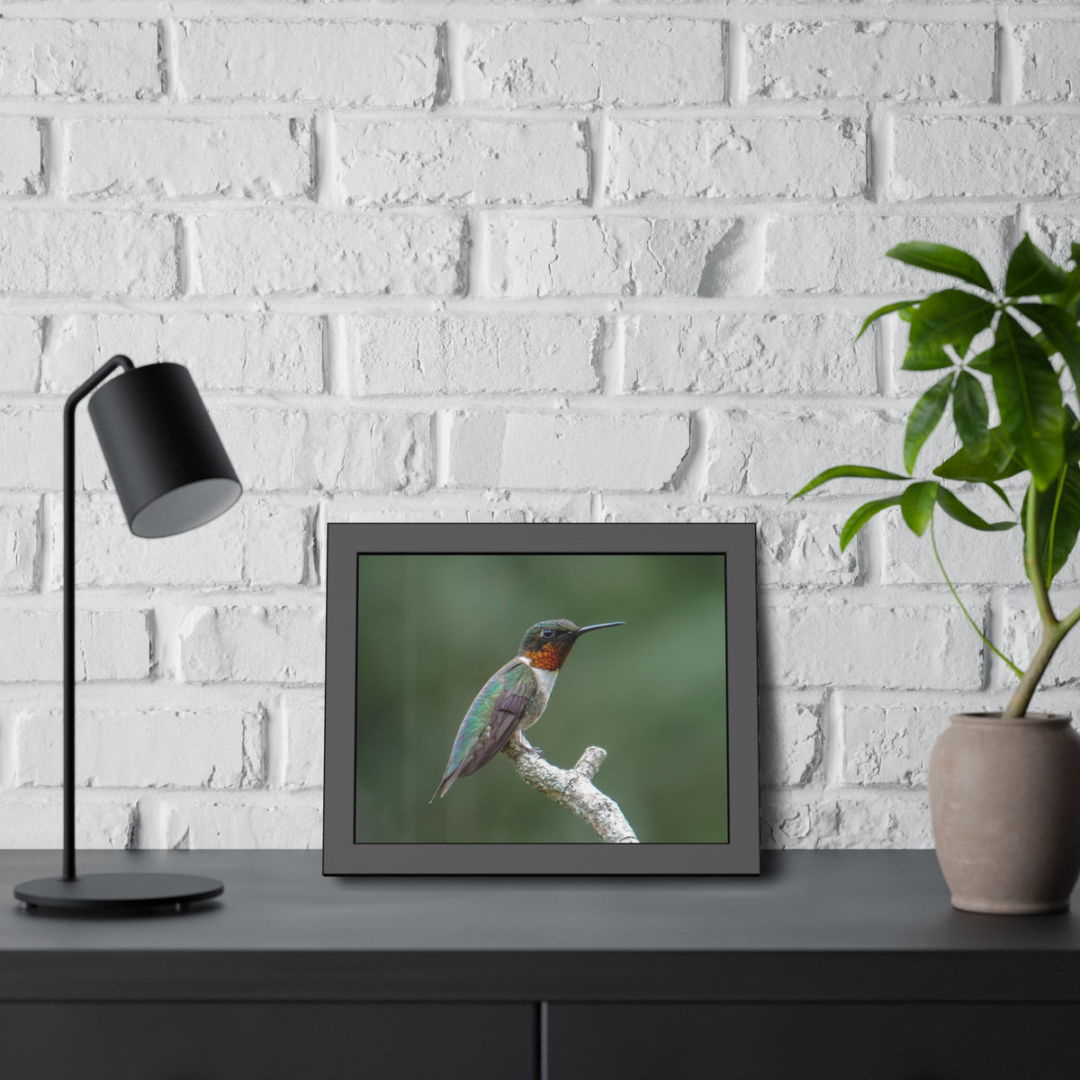 Ruby-Throated Hummingbird Framed Print | Nature Photography