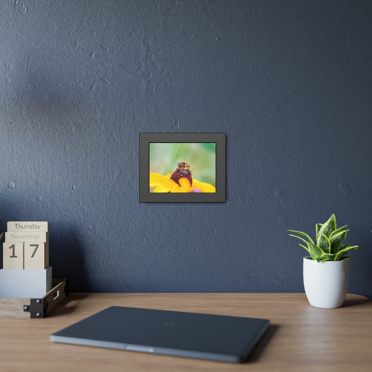 Flower Fly on Black-Eyed Susan Framed Print | Nature Photography