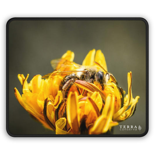 Bee Pollinating Dandelion Large Mouse Pad