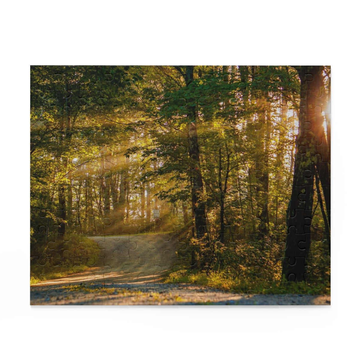 Sunbeams Through The Forest Puzzle (120, 252, 500-Piece)