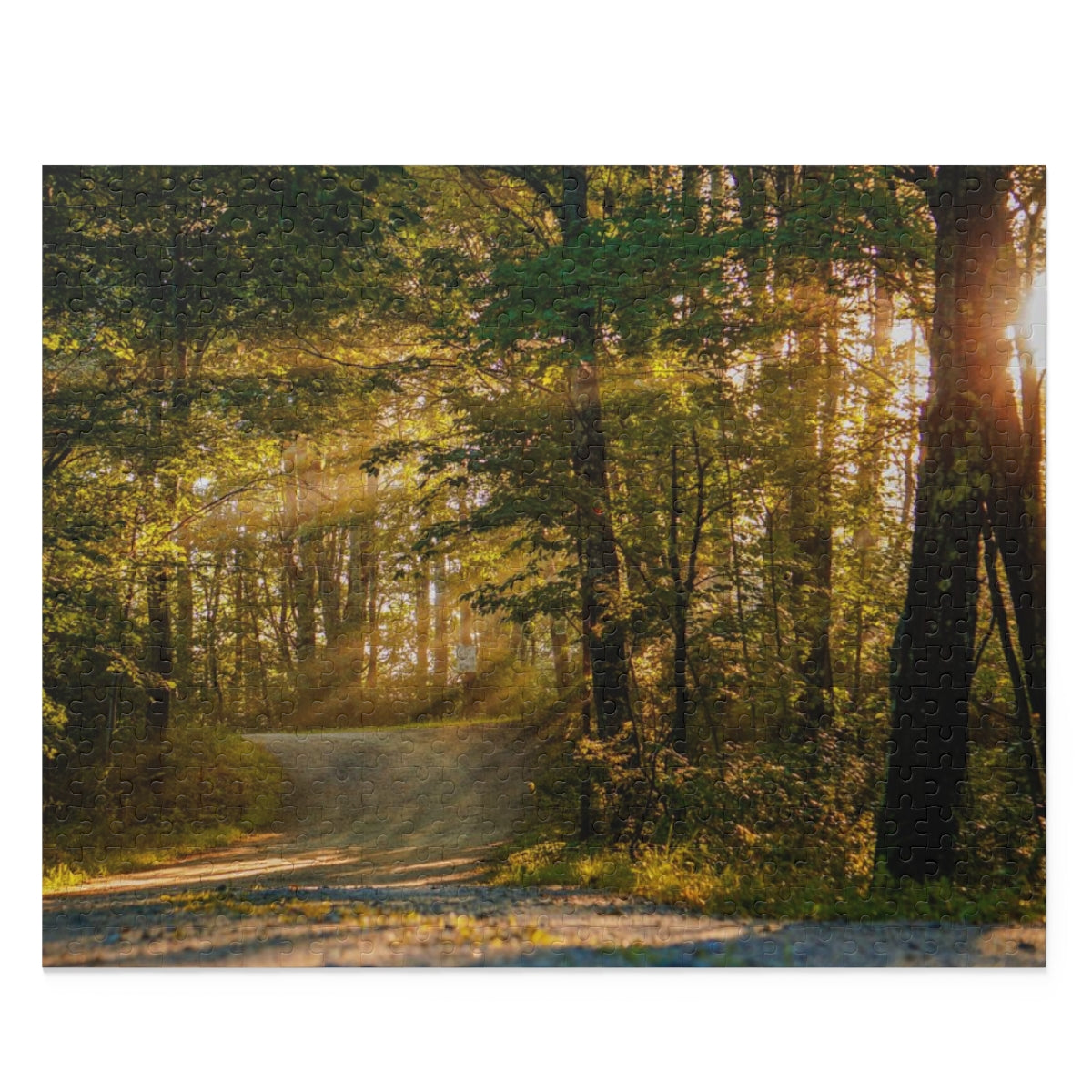 Sunbeams Through The Forest Puzzle (120, 252, 500-Piece)
