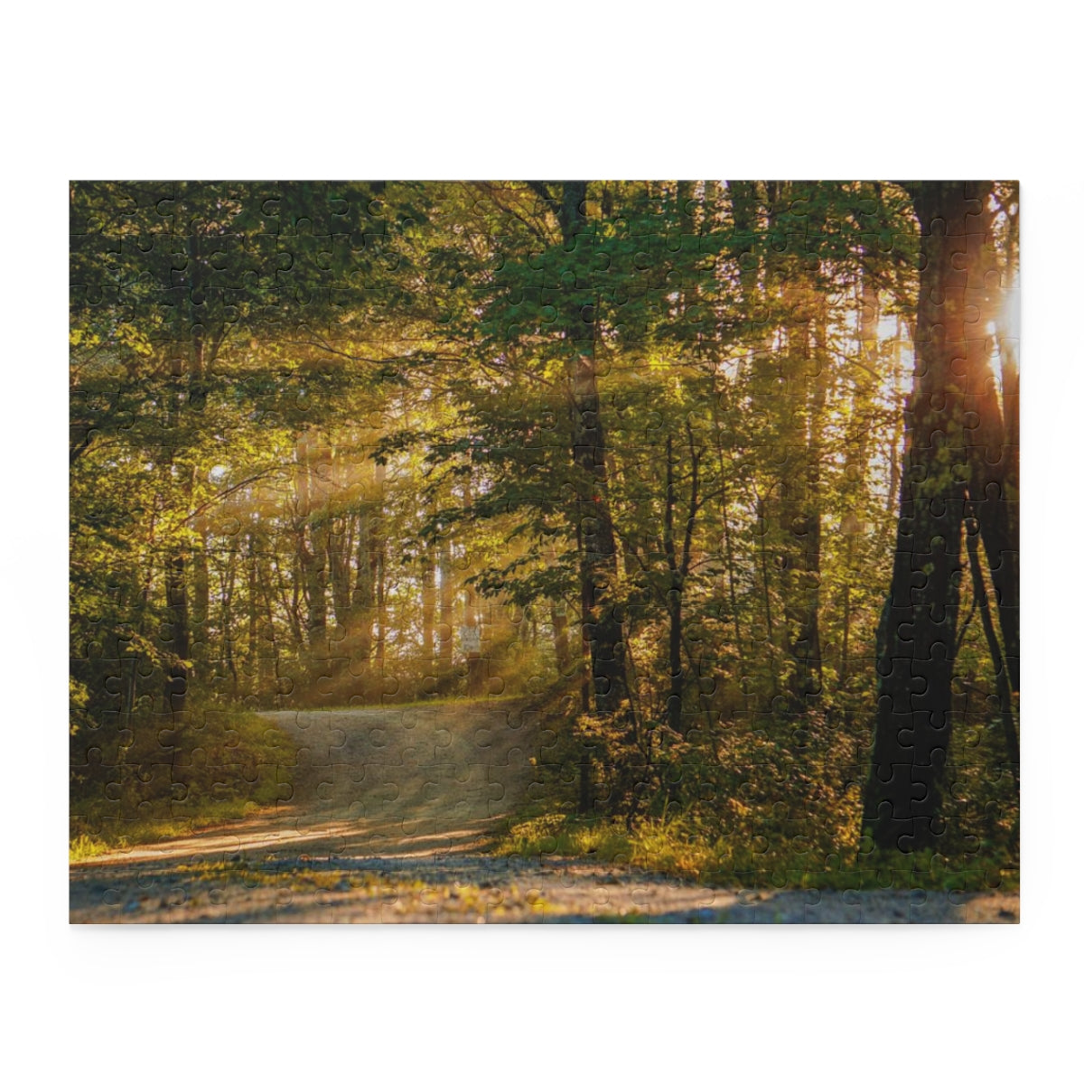 Sunbeams Through The Forest Puzzle (120, 252, 500-Piece)