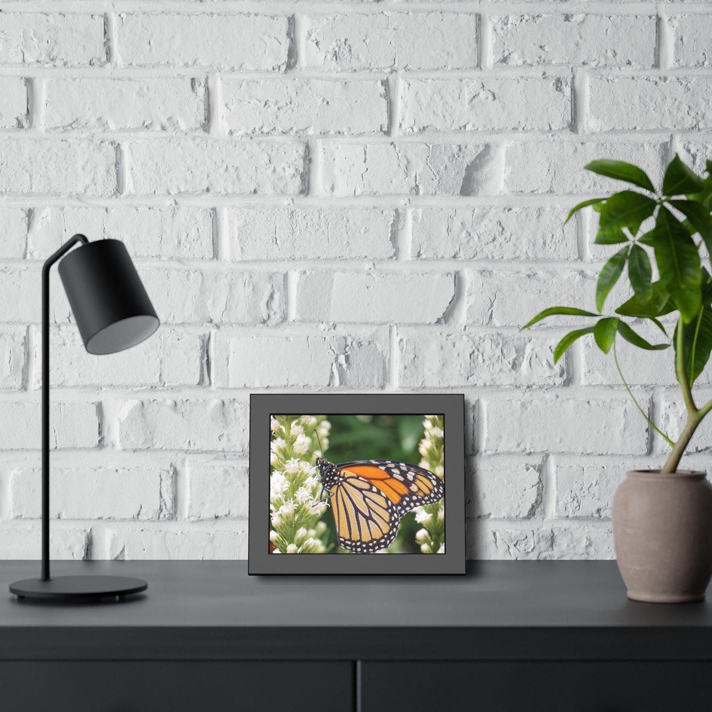 Monarch Butterfly in Garden Framed Print | Nature Photography