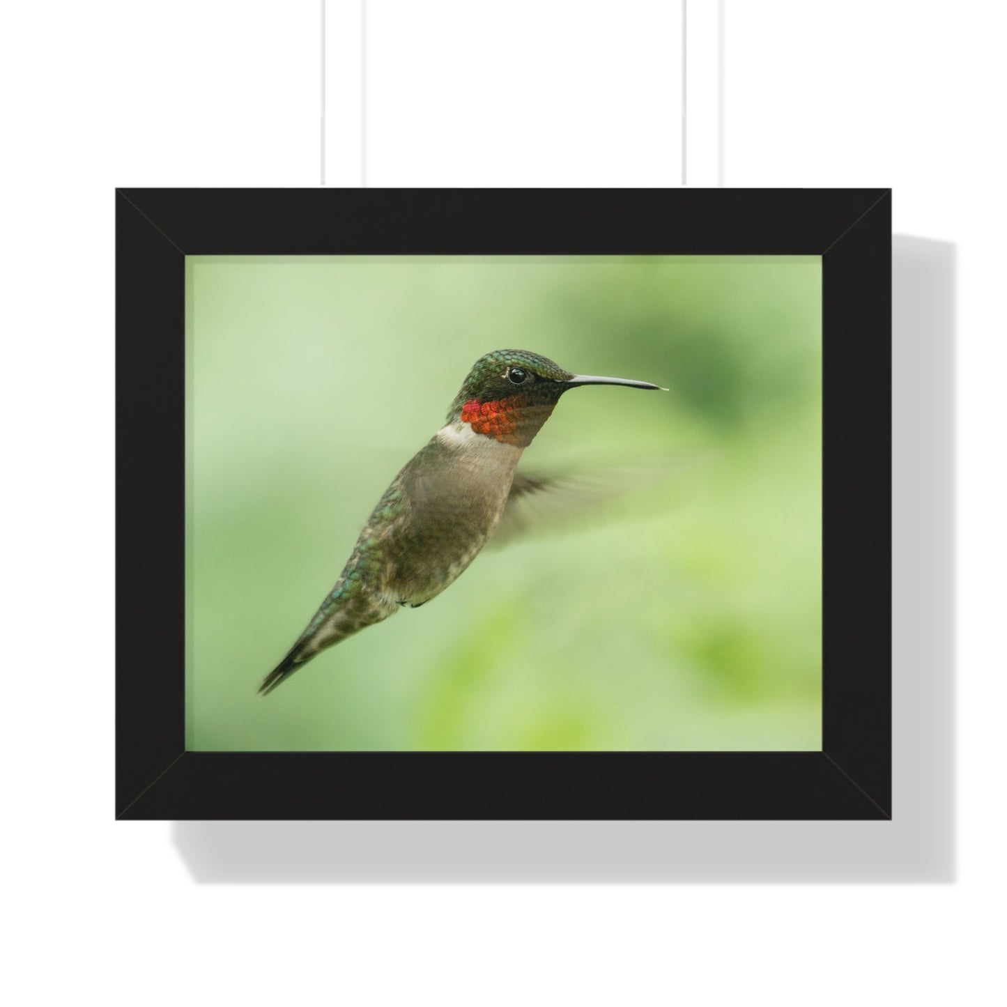 Hummingbird In-Flight Framed Matte Print