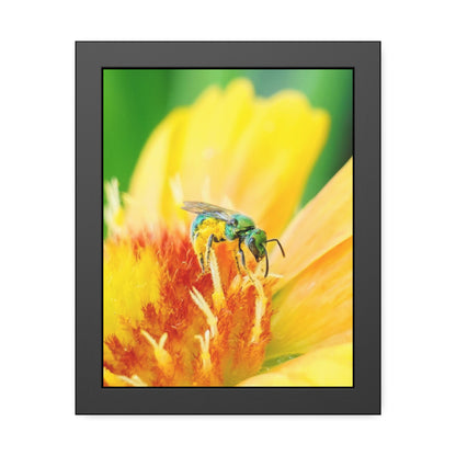 Metallic Green Bee Framed Print | Nature Photography