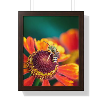 Fashionable Sweat Bee Framed Matte Print