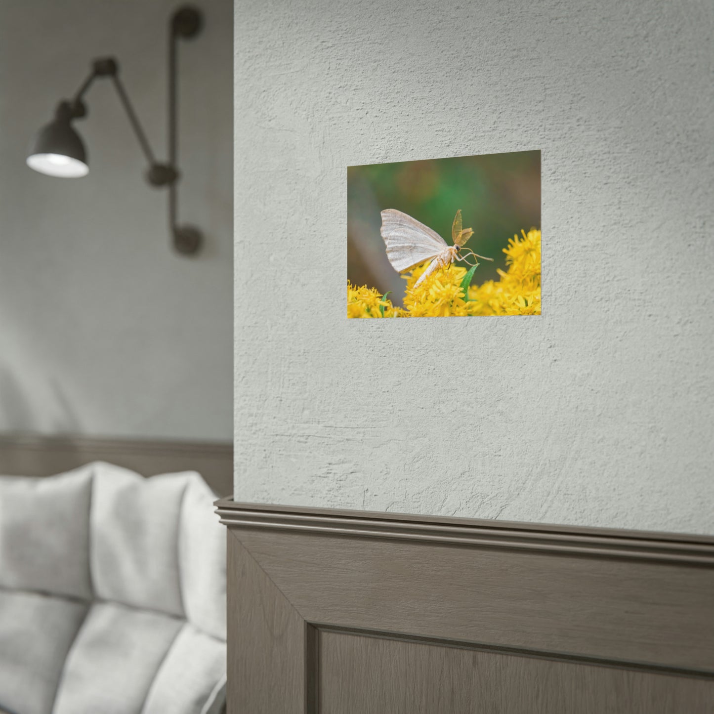 Curious Moth Fine Art Print