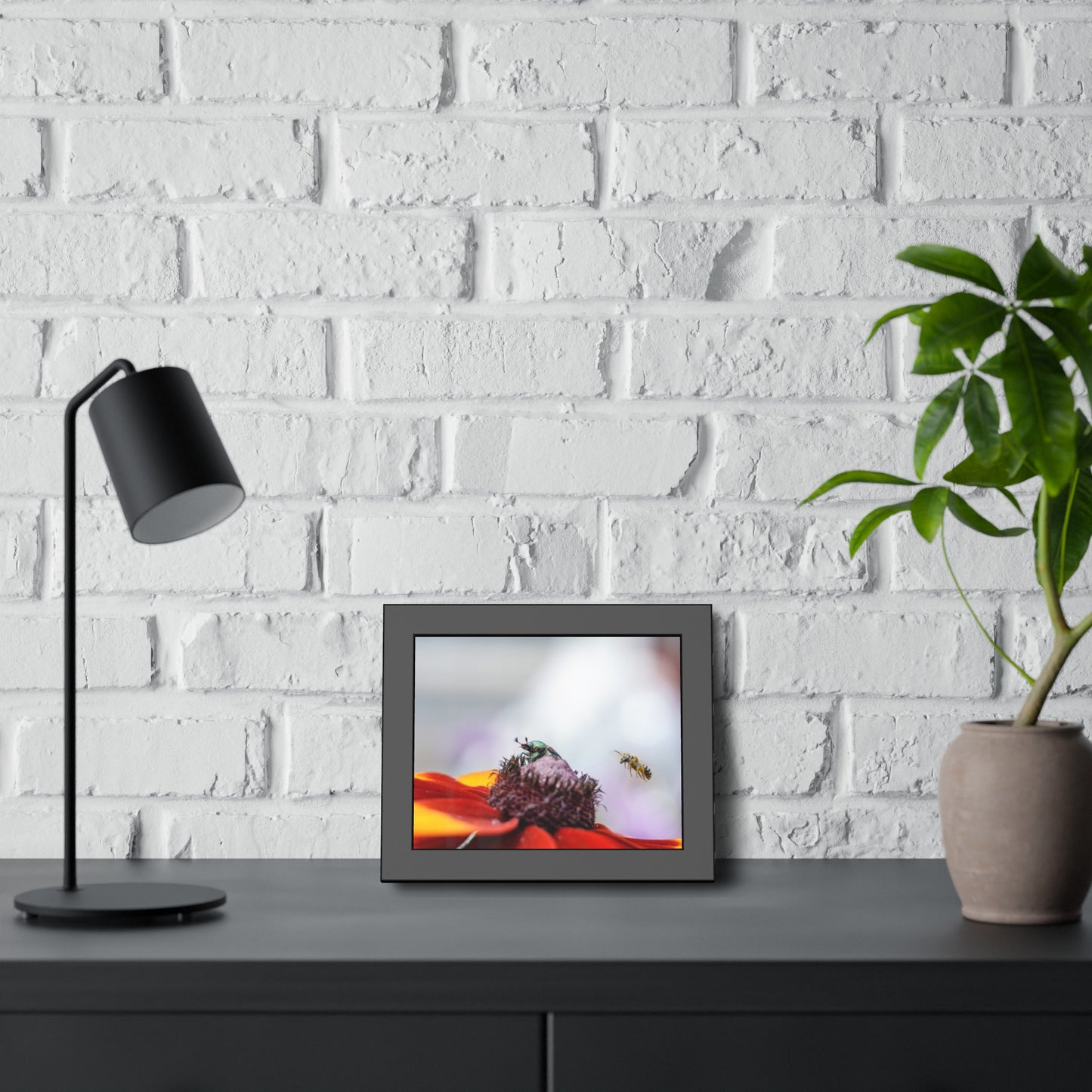 Japanese Beetle and Honey Bee Framed Print | Nature Photography