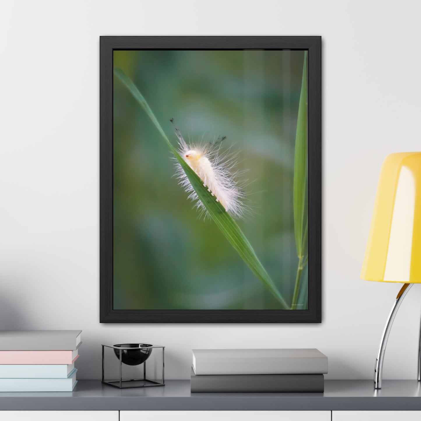 Fuzzy Feets Caterpillar Framed Fine Art Photograph