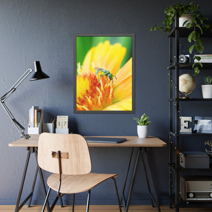 Metallic Green Bee Framed Print | Nature Photography