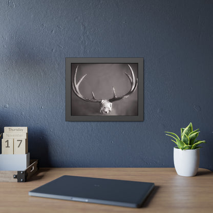 Ghosts of Deers Past Framed Print | Nature Photography