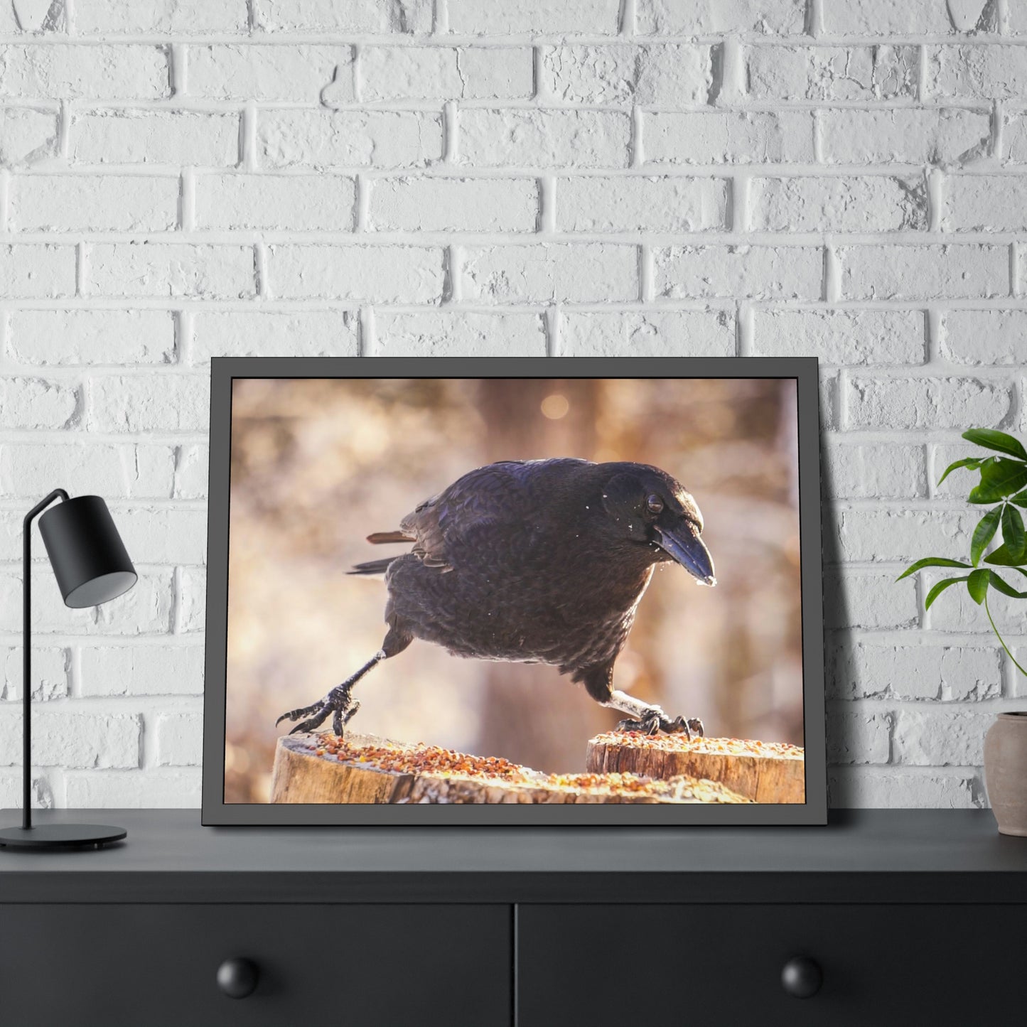 Crow Doing The Splits Framed Print | Nature Photography