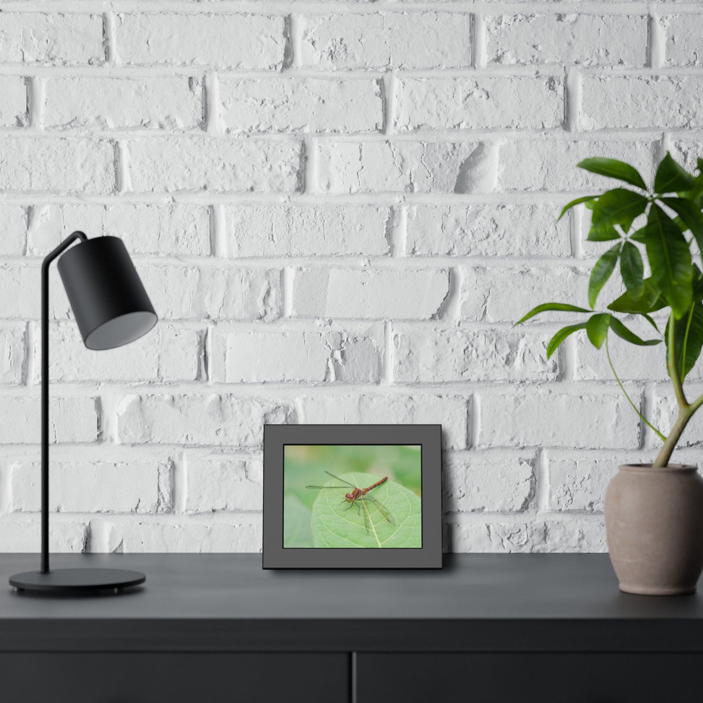 Dragonfly Poses on Leaf Framed Print | Nature Photography