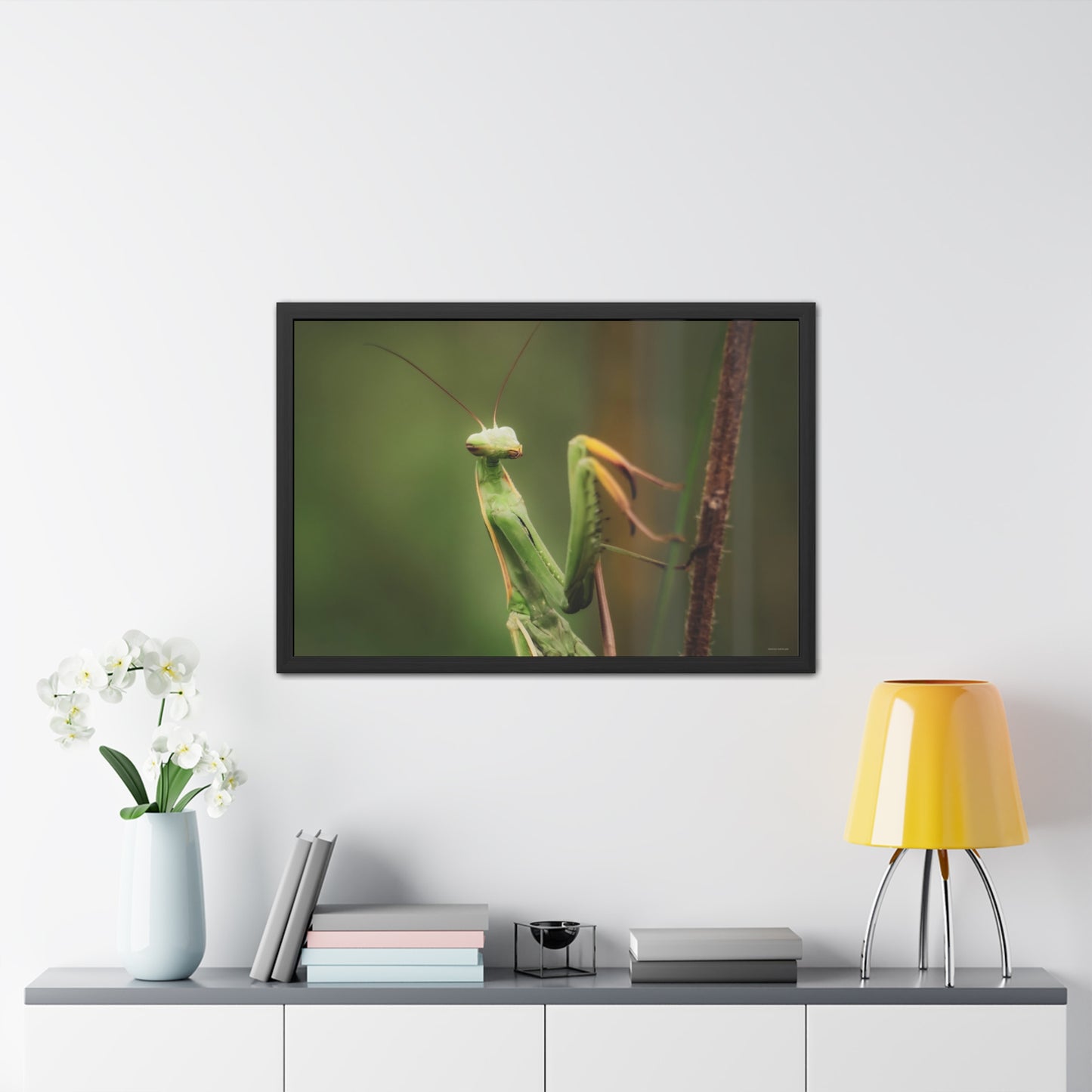 Majestic Mantis Framed Fine Art Photograph