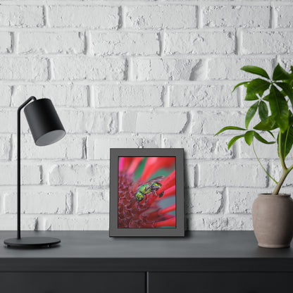 Beautiful Green Bee Framed Print | Nature Photography