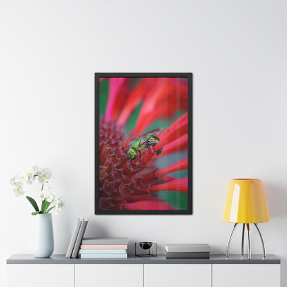 Beautiful Green Bee Framed Fine Art Photograph