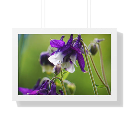 Spring Blooms Framed Matte Print