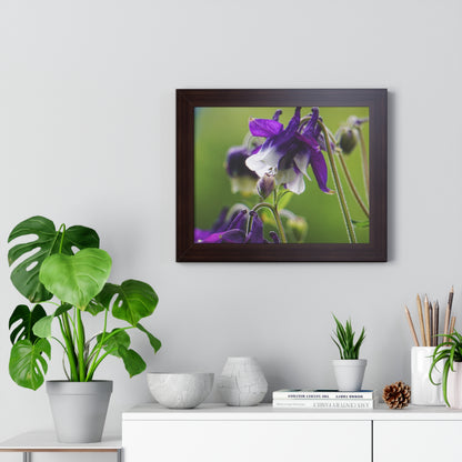 Spring Blooms Framed Matte Print