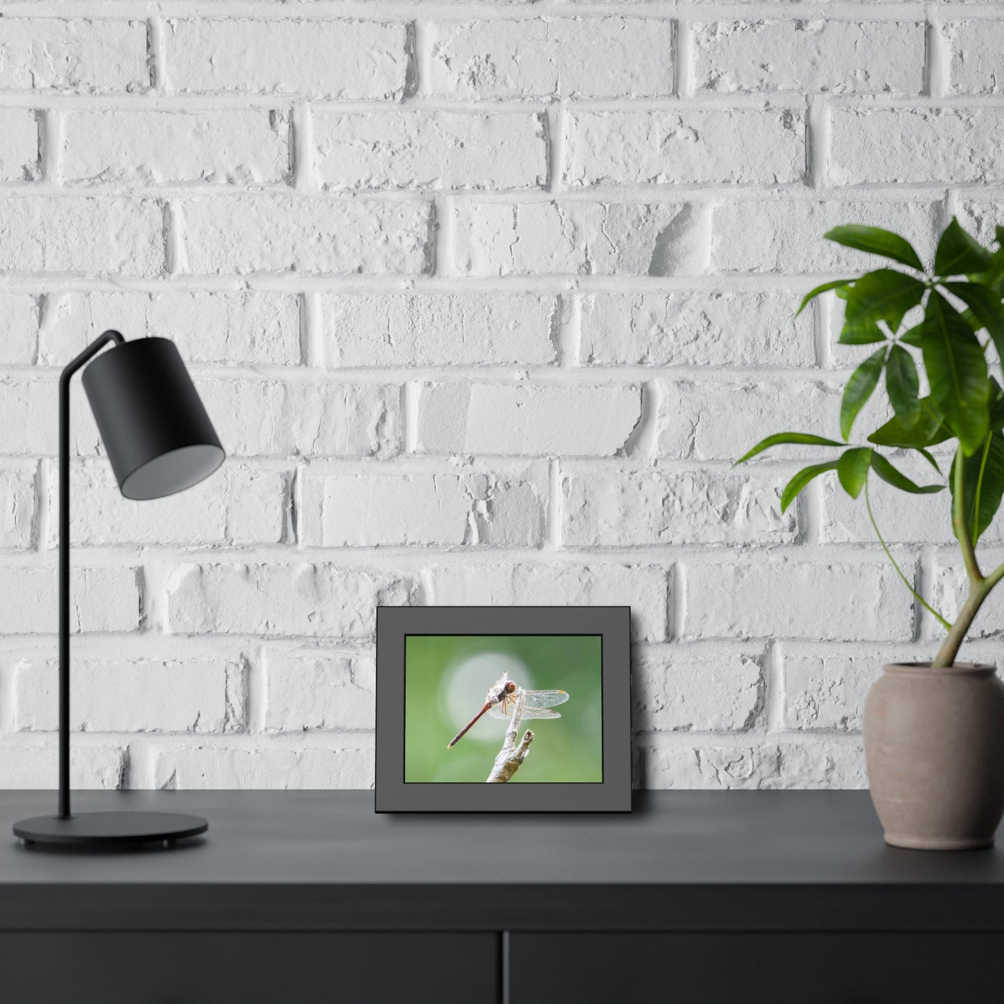 Dramatic Dragonfly Framed Print | Nature Photography