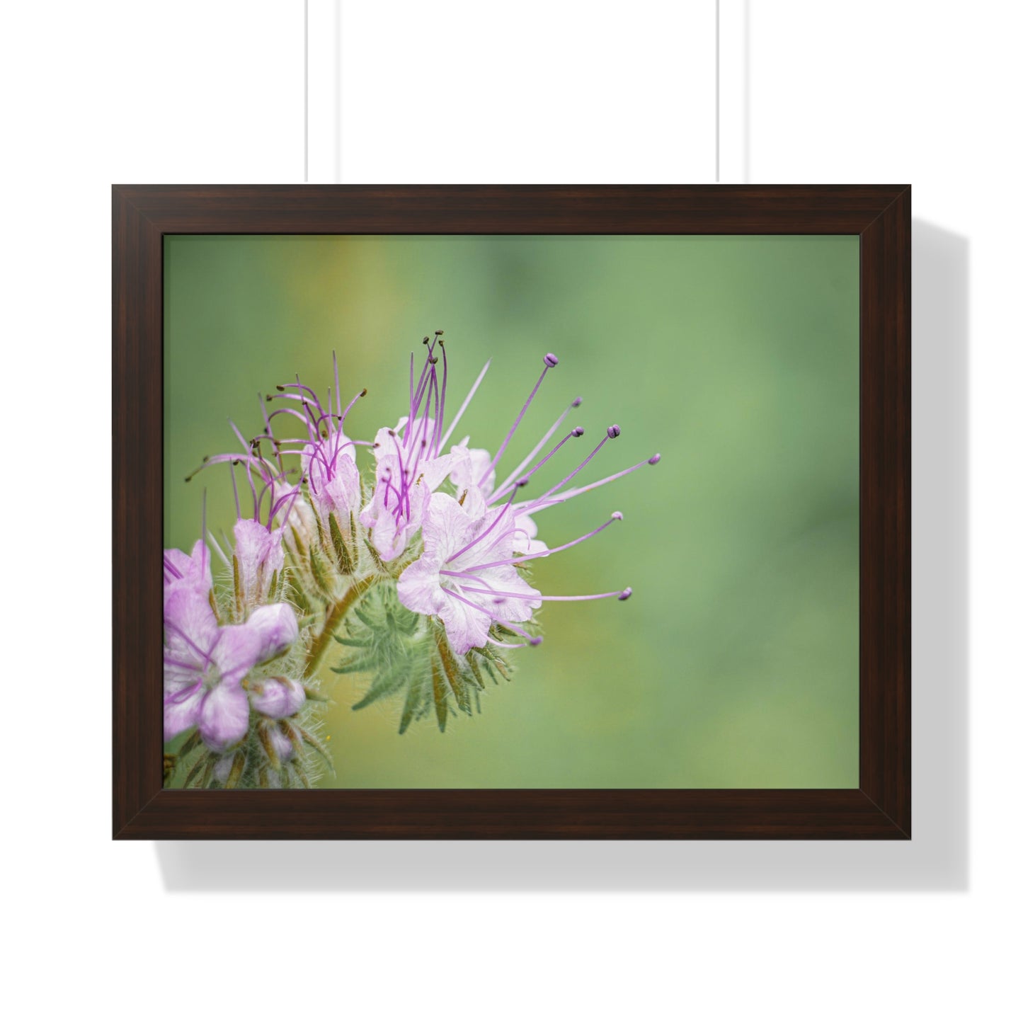 Macro Purple Wildflowers Framed Matte Print