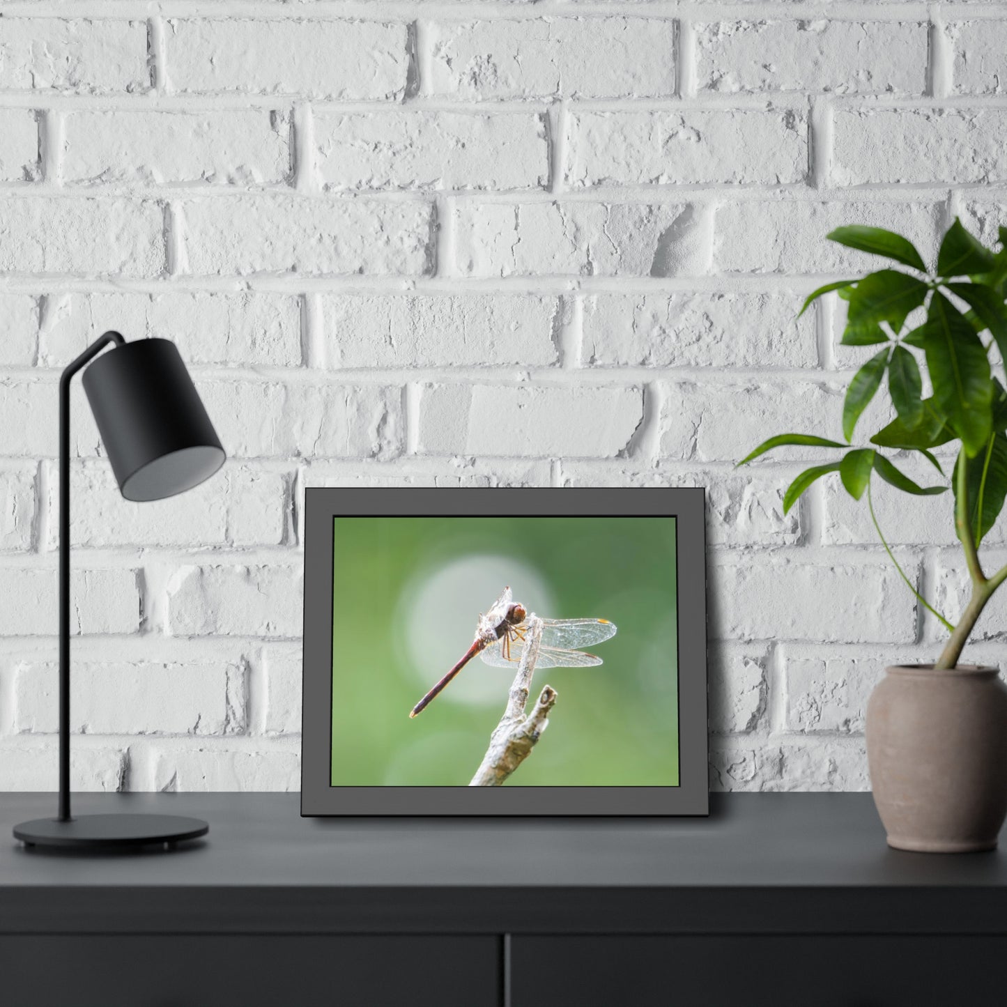 Dramatic Dragonfly Framed Print | Nature Photography